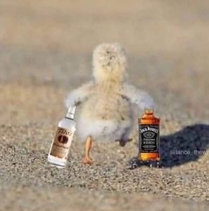 Meet your Posher, Barbara